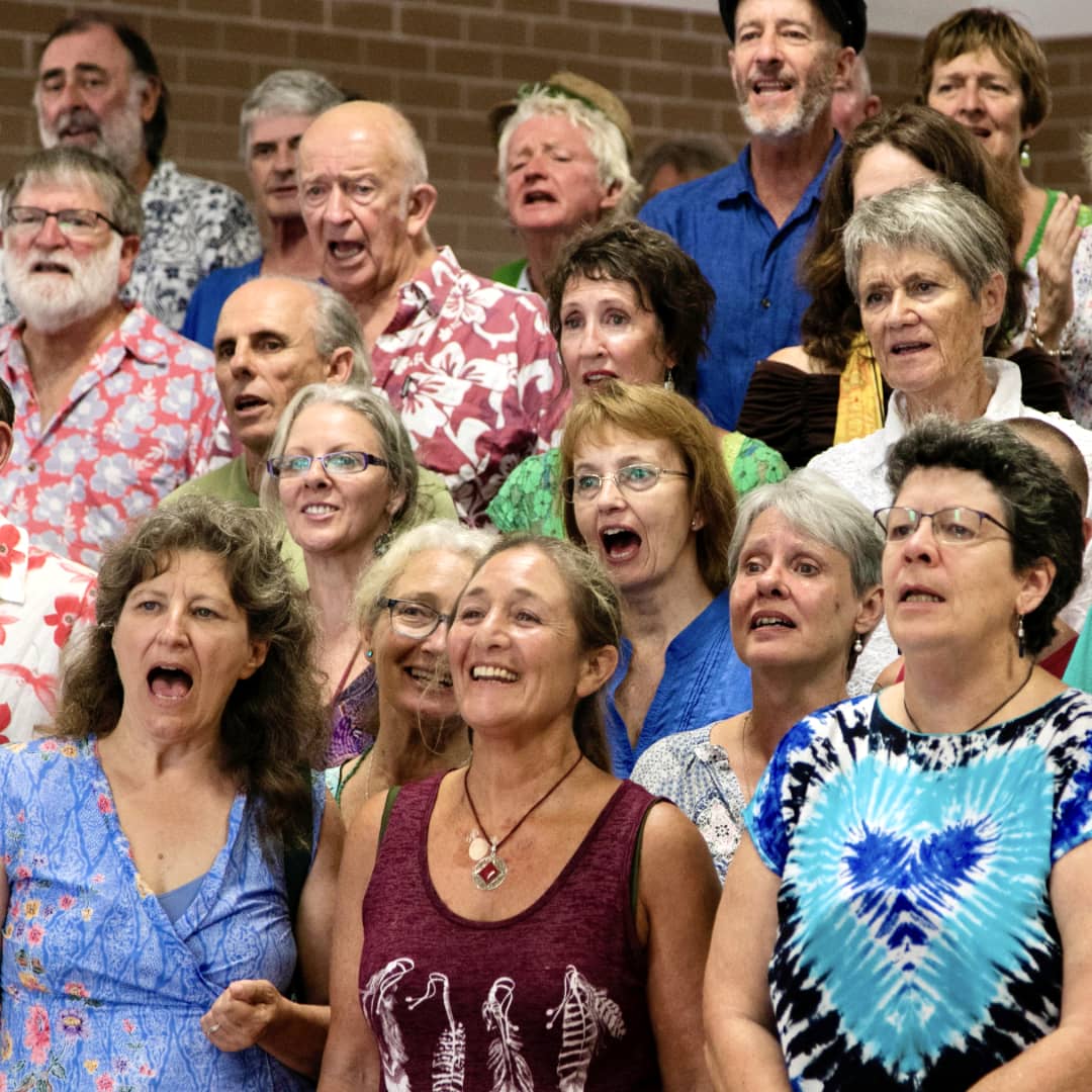 SeaSong community choir performing at Brunswick Heads Public School hall