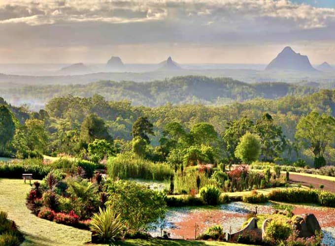Manicured garden beds, water features and rolling forested hills at Maleny Botanic Gardens
